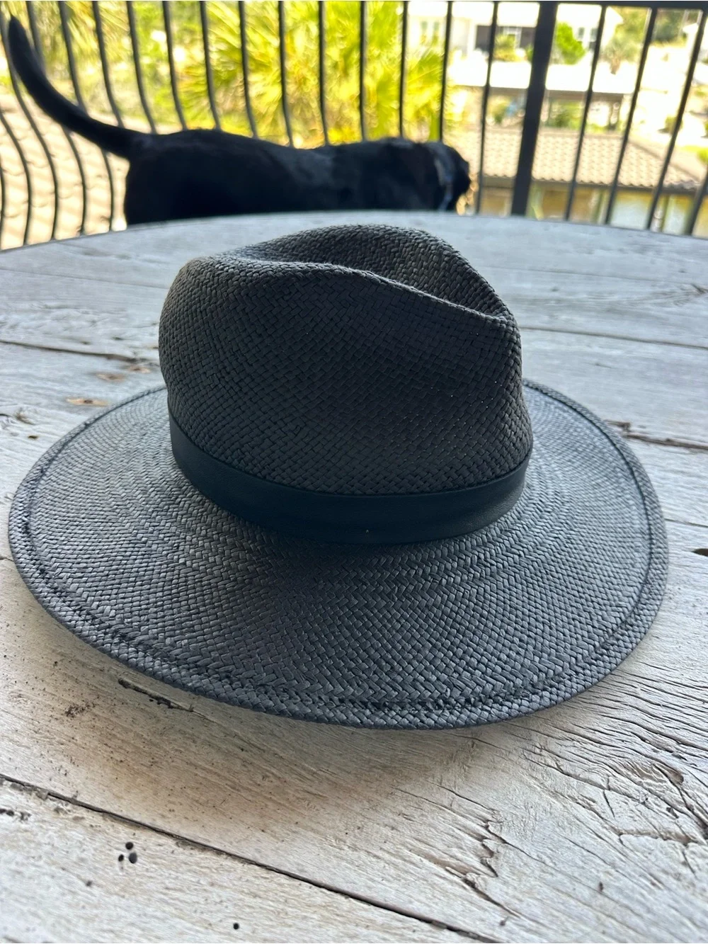 Janessa Leone Simone Black Straw Wide-Brim Fedora NWOT